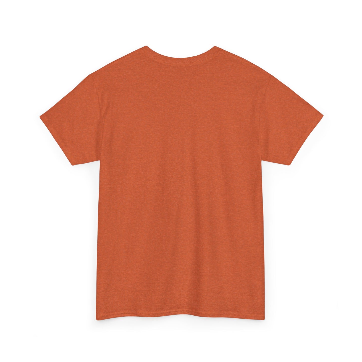 Energy Vibe Unisex Heavy Cotton Tee for Empaths & Spiritual Souls