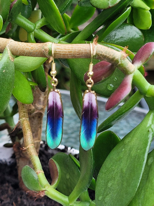 Cayman Earrings - Daonna Designs